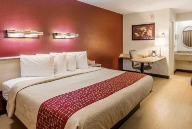 Hotel Red Roof - Orange Park 2*